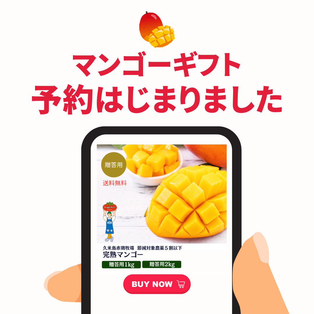 マンゴーギフトの予約はじまりました!