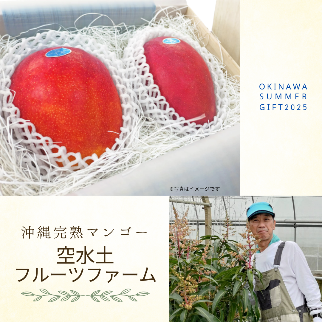 自然の恵みをギュッと詰め込んだ、宮古島の完熟マンゴー~空水土フルーツファーム編~