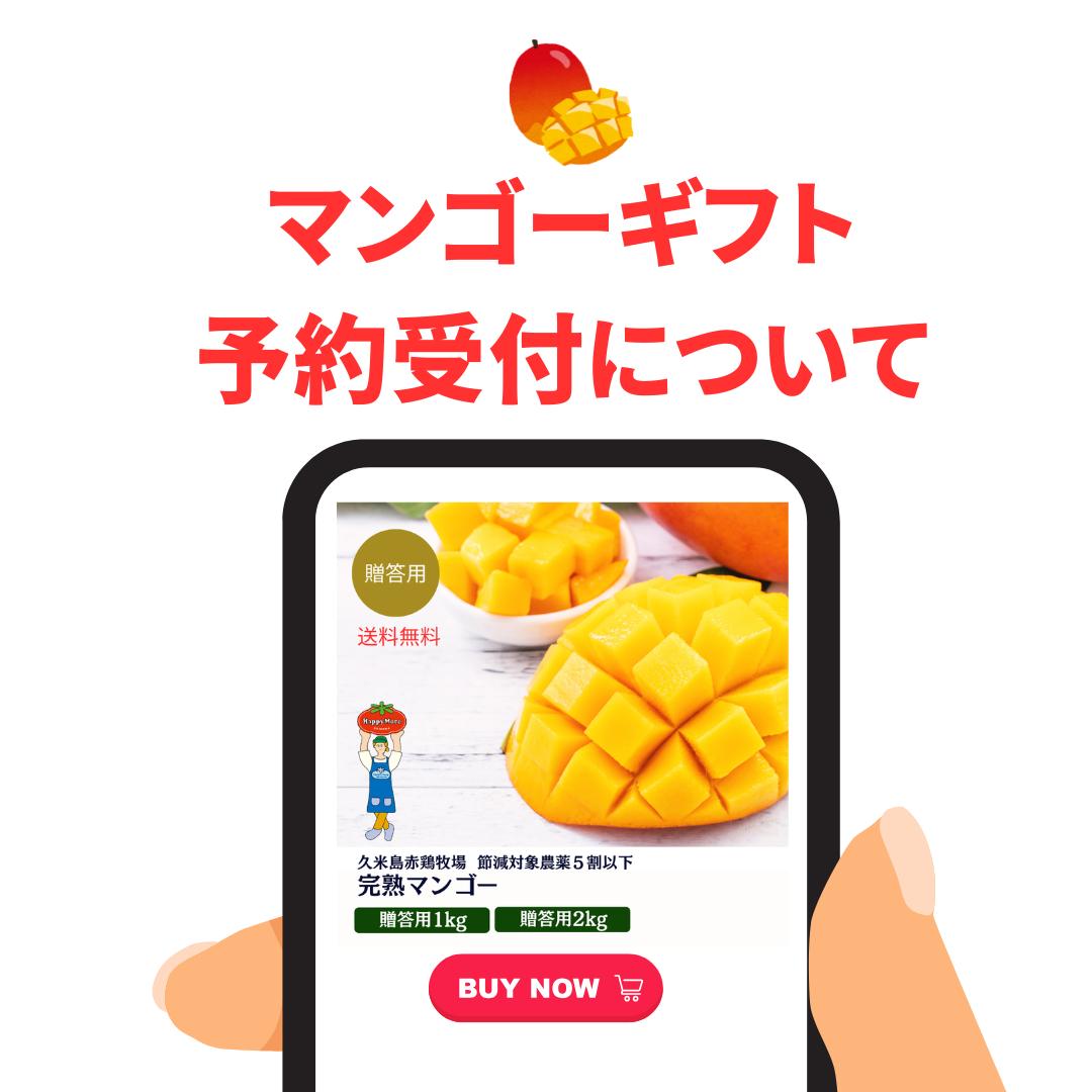 マンゴーギフトの予約受付について