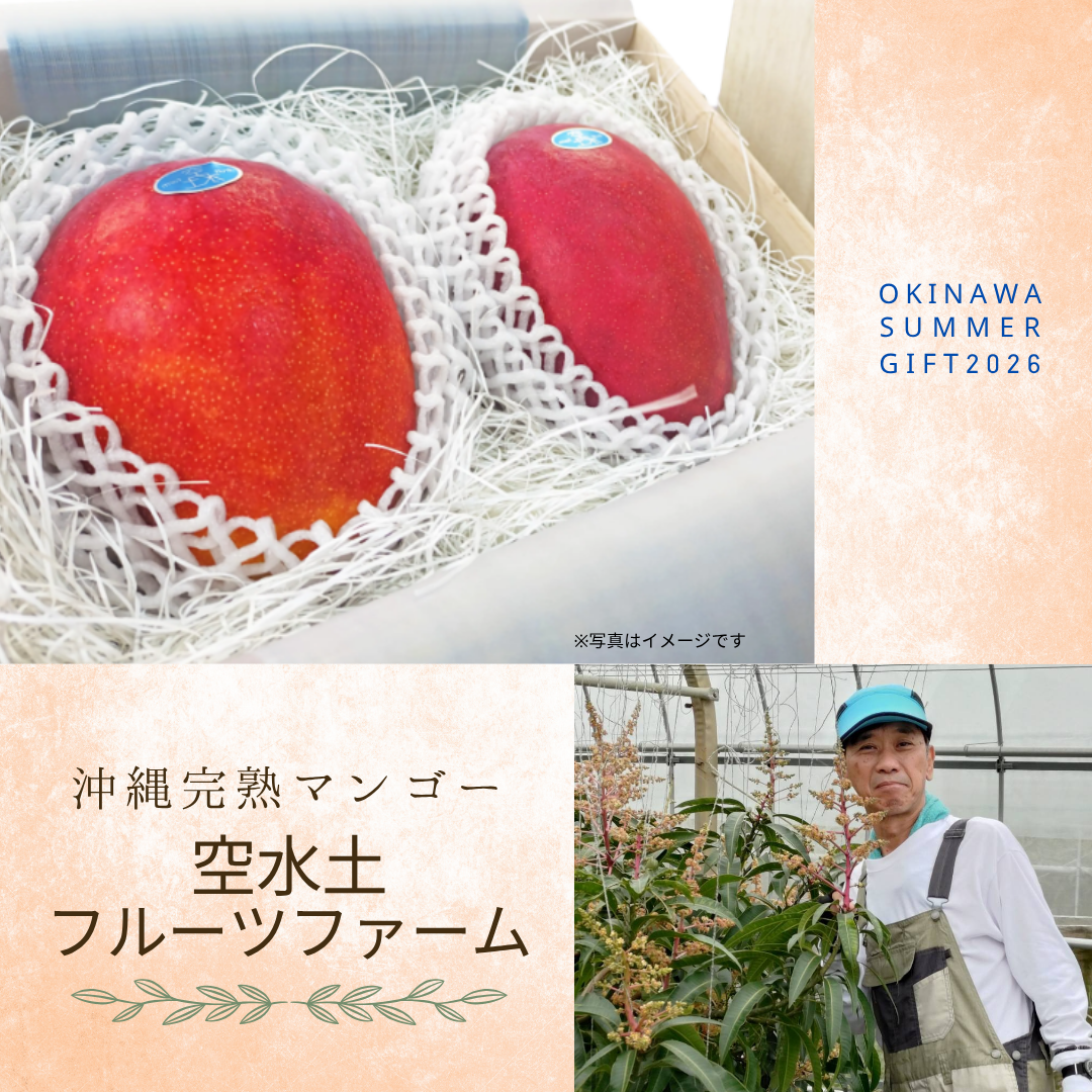 自然の恵みをギュッと詰め込んだ、宮古島の完熟マンゴー～空水土フルーツファーム編～