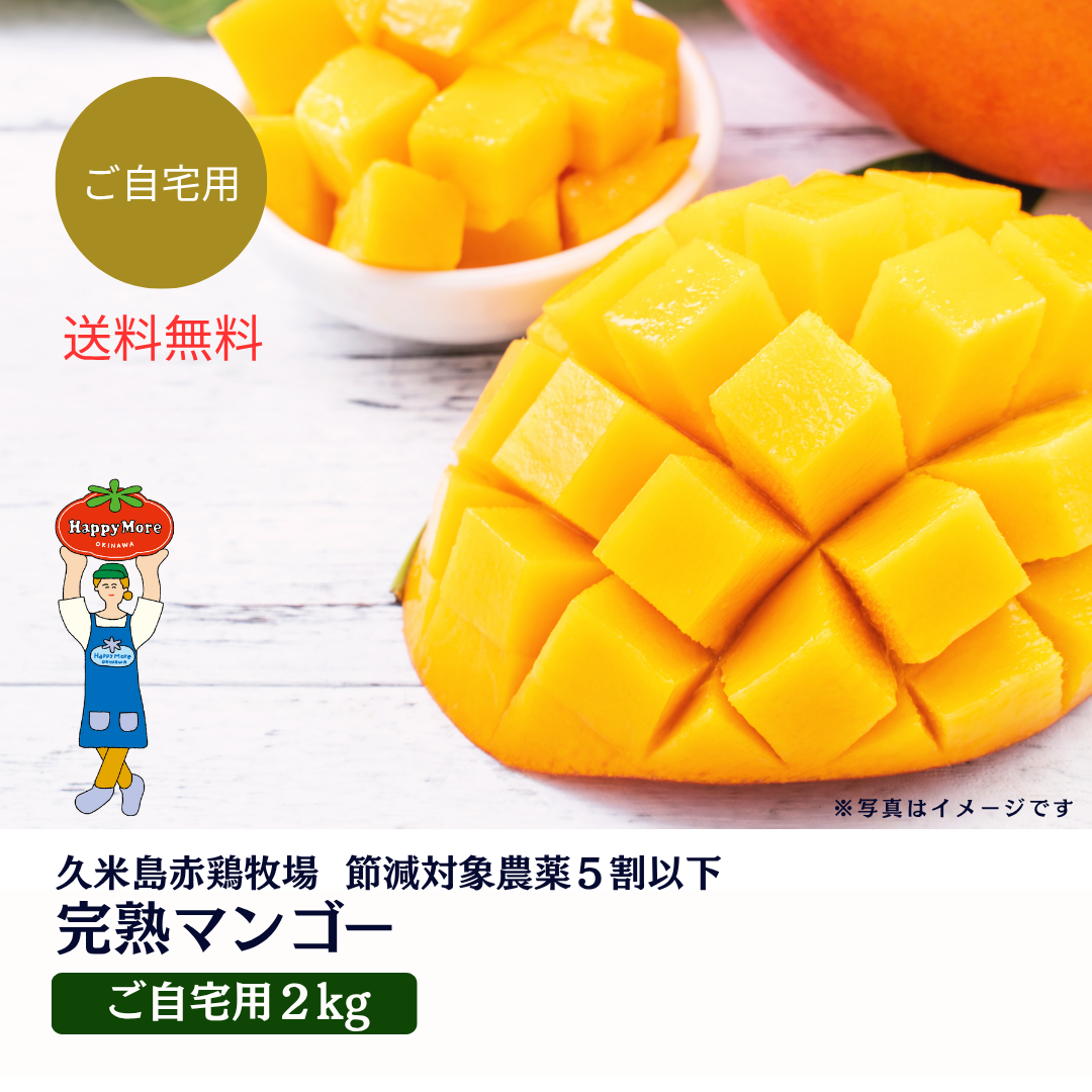 【ご自宅用】久米島赤鶏牧場  完熟マンゴー 2kg