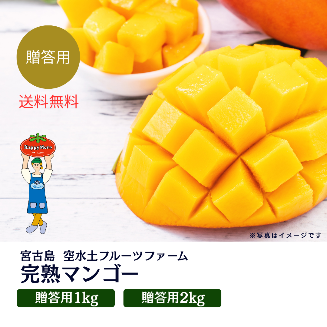 【贈答用】宮古島 そらみど完熟マンゴー