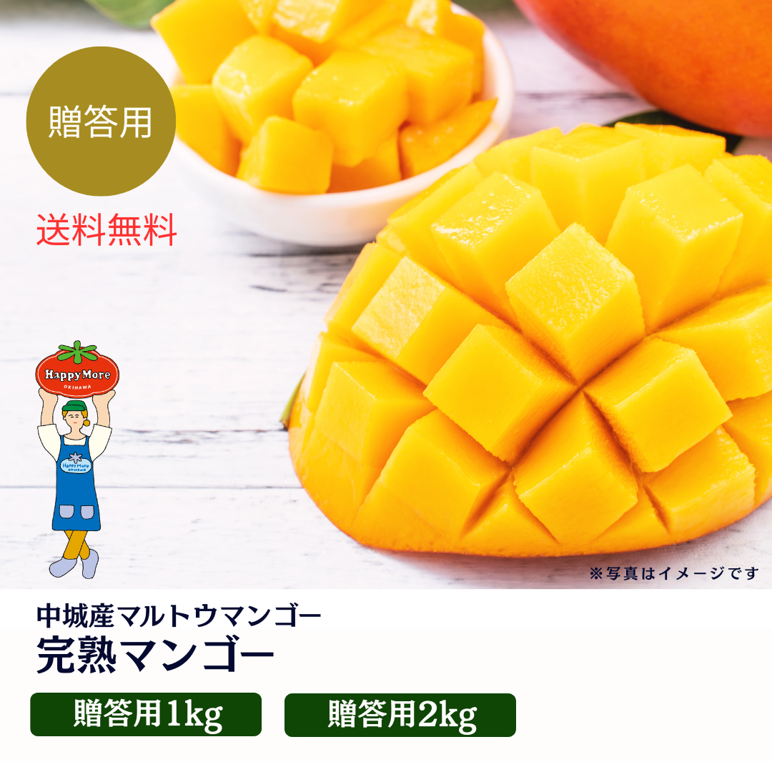 【贈答用】マルトウマンゴー　完熟マンゴー