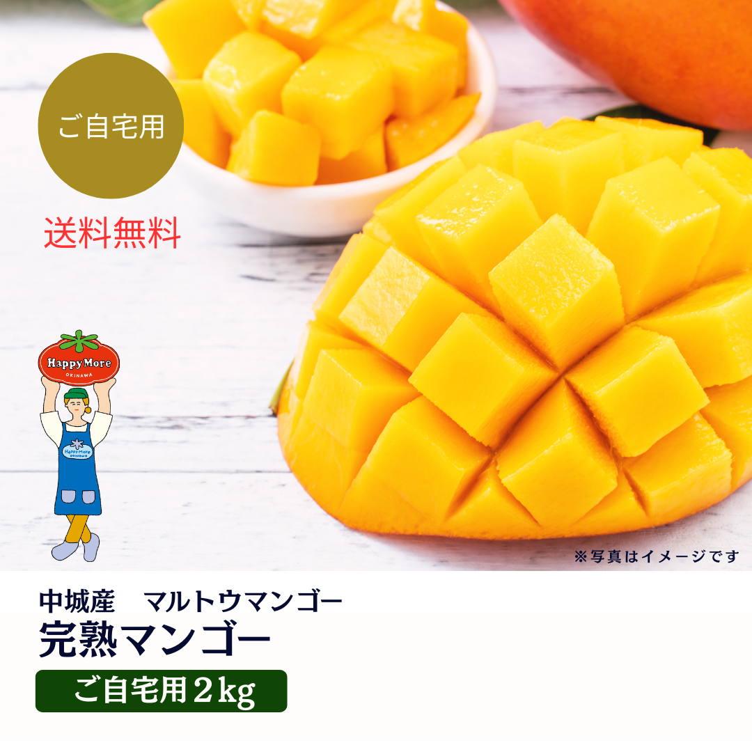 【ご自宅用】マルトウマンゴー  完熟マンゴー 2kg